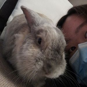 Meet your Posher, Sammi